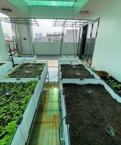 Chậu ghép trồng rau thông minh