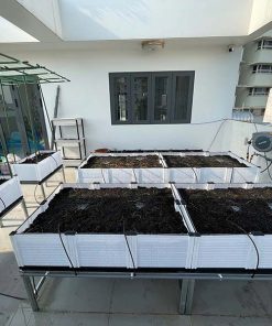 Chậu ghép trồng rau thông minh