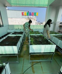 Chậu ghép trồng rau thông minh