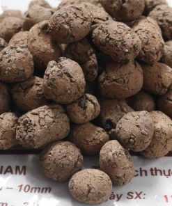 Đất sét nung - sỏi nhẹ trồng cây