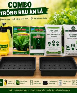 Combo trồng rau ăn lá cho người mới